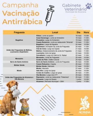 Vacina&ccedil;&atilde;o Antirr&aacute;bica
