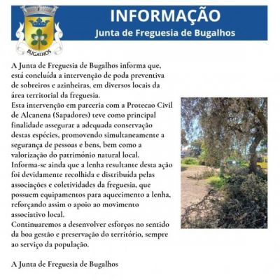 Informa&ccedil;&atilde;o &agrave;  popula&ccedil;&atilde;o