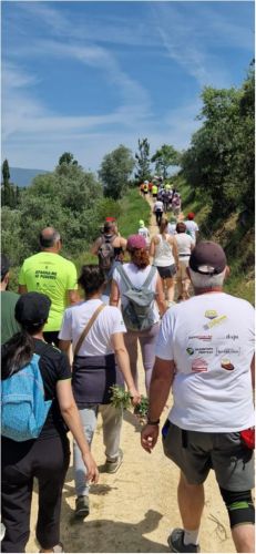 Caminhada da Liberdade